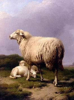 unknow artist Sheep 142